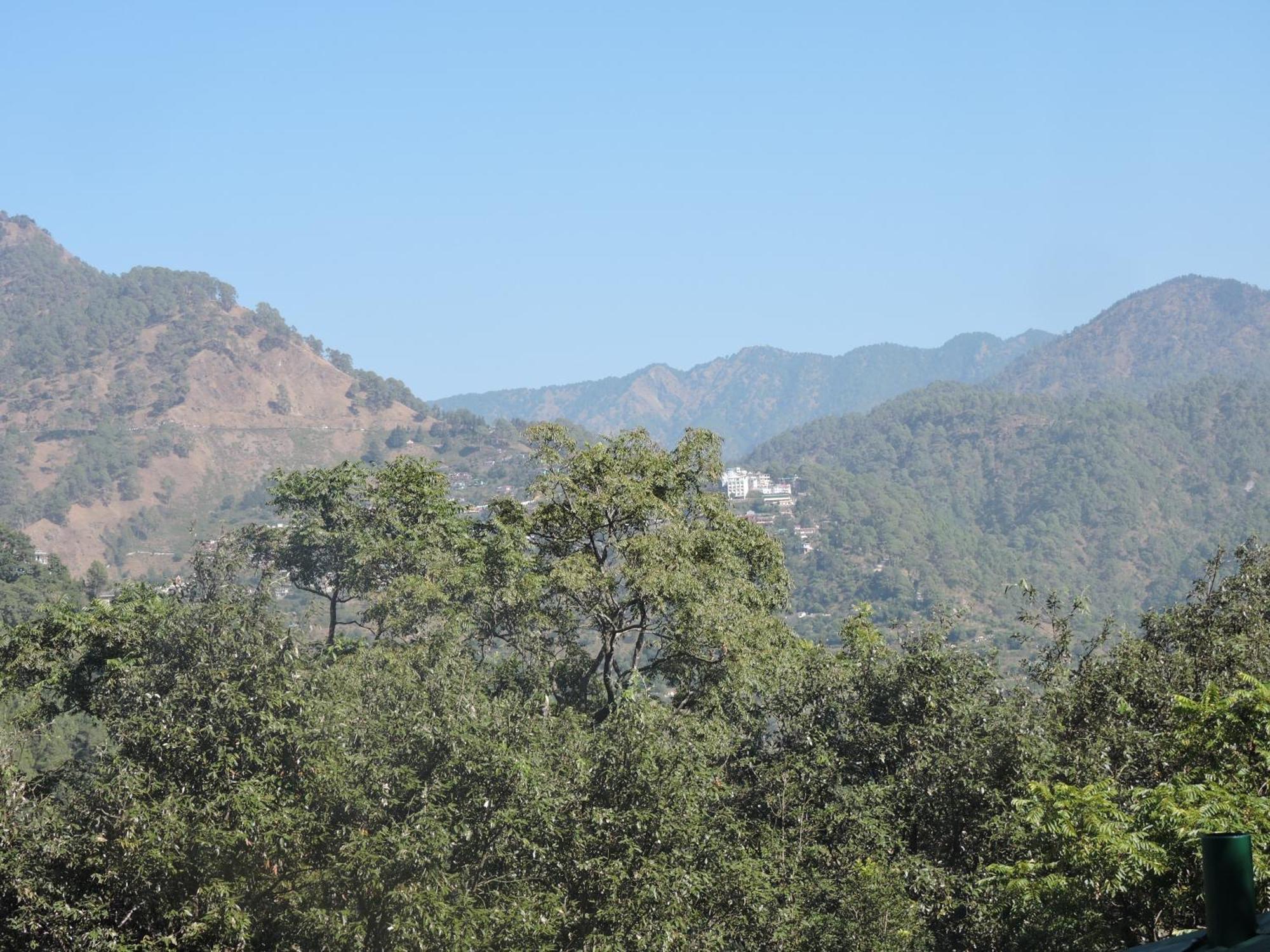 The Manora Woods - Private Hill Top, Gethiya, Nainital Bagian luar foto